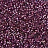 MIYUKI Delica Beads X-SEED-J020-DB1757-3