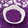 Baking Paint Glass Seed Beads SEED-S042-05B-73-2