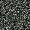 MIYUKI Delica Beads SEED-MY11-DB0324-3