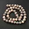 Natural Feldspar Bead Strands G-P295-06-8mm-5