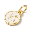 Real 18K Gold Plated Brass Enamel Charms KK-L216-001G-G02-2