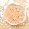 Ceylon Glass Seed Beads SEED-K009-02B-34-2