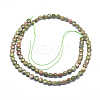 Natural Unakite Beads Strands G-D0003-A32-2