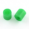 PE Fuse Beads DIY-R013-A22-1