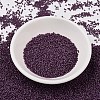 MIYUKI Delica Beads X-SEED-J020-DB2360-2