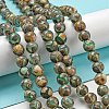 Tibetan Style dZi Beads Strands G-P526-D09-02-2