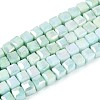 Anti-Tarnish Electroplate Glass Beads Strands GLAA-T025-4mm-10B-1