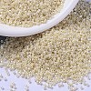MIYUKI Delica Beads X-SEED-J020-DB1900-1
