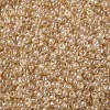 12/0 FGB Grade A Round Glass Seed Beads X-SEED-Q011-F504-2