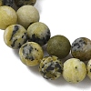Natural Yellow Turquoise(Jasper) Beads Strands G-H245-02B-3