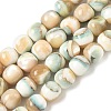 Natural Seashell Shell Beads Strands SH-CBAFEDD-01A-1