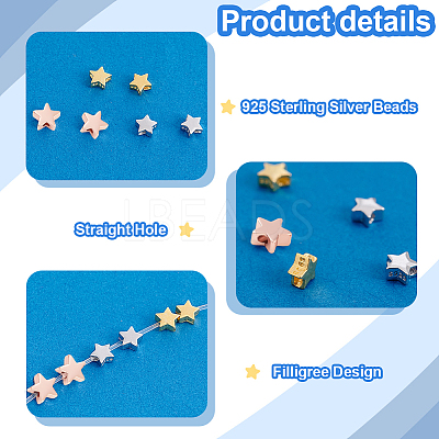 12Pcs 3 Colors 925 Sterling Silver Beads STER-PH0002-09-1