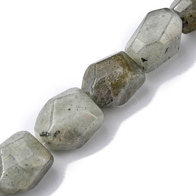 Natural Labradorite Beads Strands G-F743-04D-1