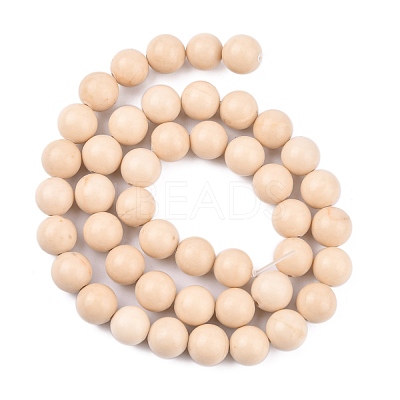 Natural Fossil Beads Strands G-E110-8mm-2-1