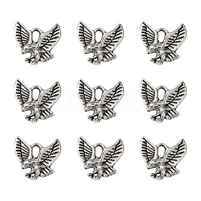 Tibetan Style Alloy Pendants LS-TIBEP-20305-AS-NR-1