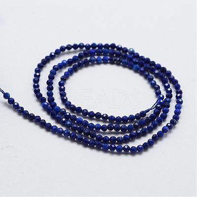 Natural Lapis Lazuli Bead Strands G-G663-48-3mm-1