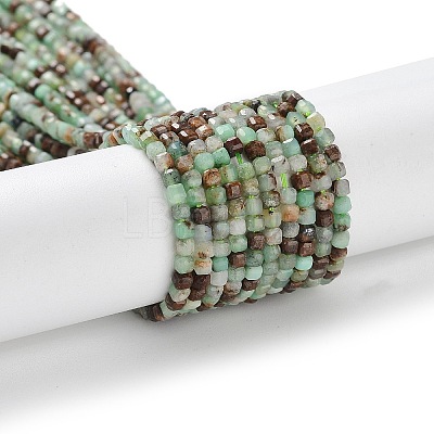 Natural Chrysoprase Beads Strands G-P514-B03-01-1