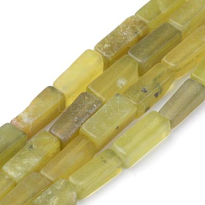 Natural Serpentine Beads Strands G-Q949-003-1
