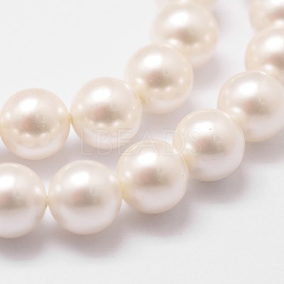 Shell Pearl Bead Strands X-BSHE-L026-03-6mm-1
