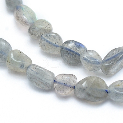 Natural Labradorite Beads Strands G-L550A-06-1
