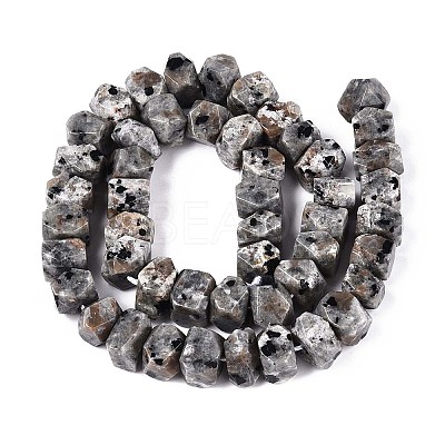Natural Syenite Beads Strands G-D091-A32-1