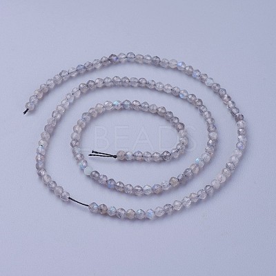 Natural Labradorite Beads Strands G-F619-15-3mm-1