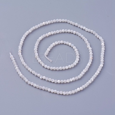 Shell Beads Strands SSHEL-E571-38-2mm-1