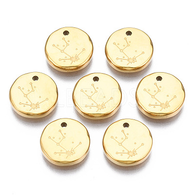 316 Surgical Stainless Steel Charms STAS-S116-418A-G-1