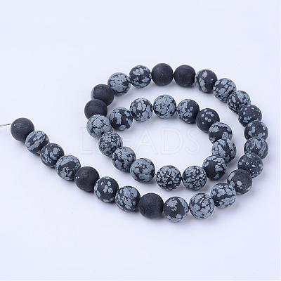 Natural Snowflake Obsidian Beads Strands G-Q462-10mm-10-1