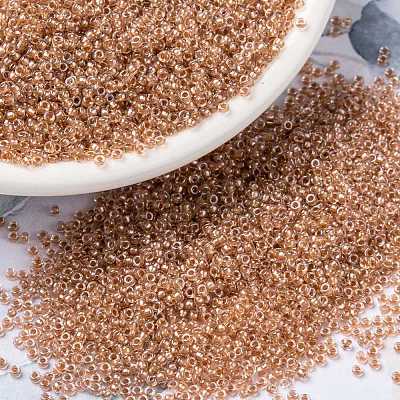 MIYUKI Round Rocailles Beads X-SEED-G009-RR1129-1