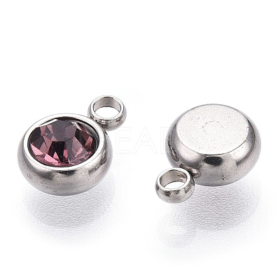 201 Stainless Steel Rhinestone Charms STAS-S068-06-1