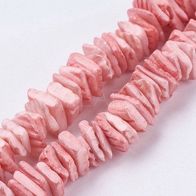 Natural Sea Shell Beads Strands X-BSHE-K012-08D-1