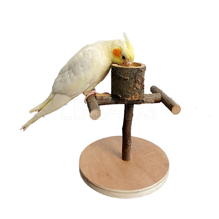 Wood Bird Playground with Feeder Cup PW-WG55544-04-1