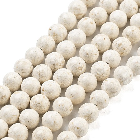 Natural Fossil Beads Strands G-H026-02C-1