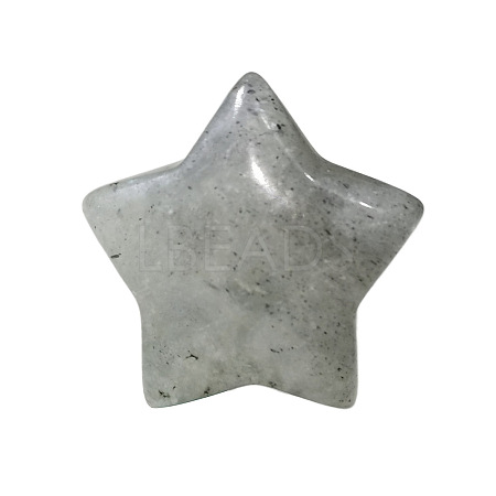 Natural Labradorite Home Display Decorations G-PW0007-124G-1
