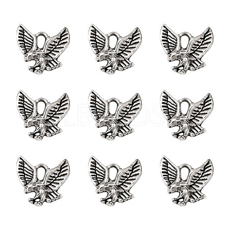 Tibetan Style Alloy Pendants LS-TIBEP-20305-AS-NR-1