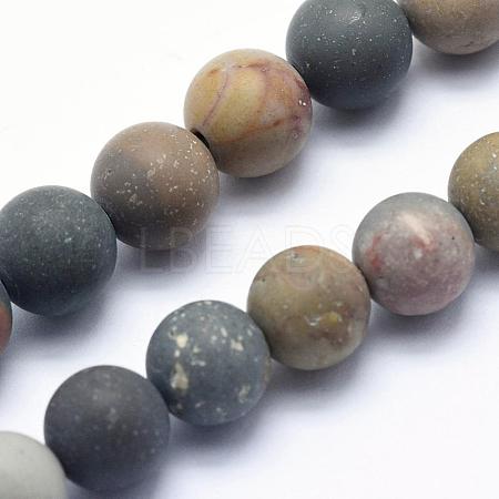 Natural Ocean Agate/Ocean Jasper Beads Strands G-G716-02-8mm-1