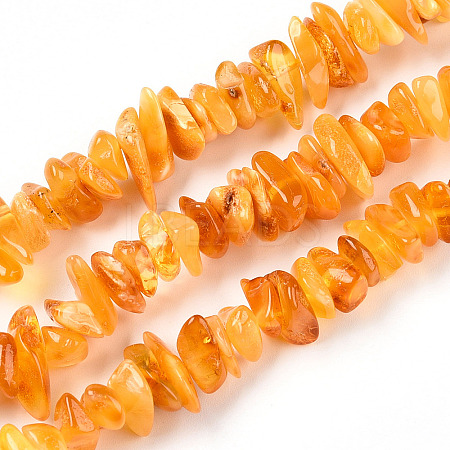 Natural Amber Beads Strands G-T138-235B-1