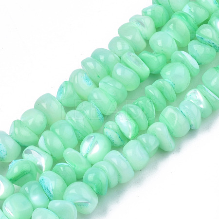 Natural Sea Shell Beads Strands SSHEL-S278-131C-1