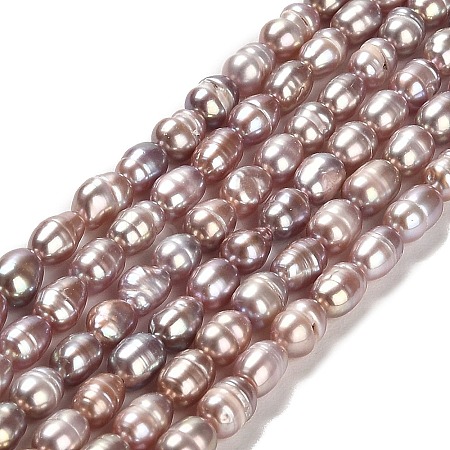Natural Cultured Freshwater Pearl Beads Strands PEAR-E016-131-1