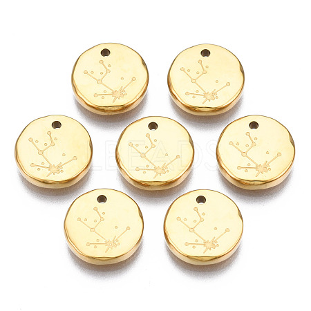 316 Surgical Stainless Steel Charms STAS-S116-418A-G-1
