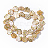 Drawbench Freshwater Shell Beads Strands SHEL-T014-012F-2