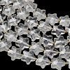 Natural Quartz Crystal Beads Strands G-L657-A07-01-4