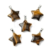 Natural Tiger Eye Pendants GG-K002-10S-1