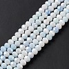 Ombre Effect Dyed Glass Beads Strands X-GLAA-C023-02A-6