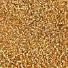 12/0 Glass Seed Beads X-SEED-A005-2mm-22-2
