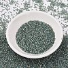 MIYUKI Delica Beads X-SEED-J020-DB2379-2