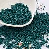 Baking Paint Glass Seed Beads SEED-S042-05B-67-1