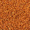 MIYUKI Delica Beads SEED-X0054-DB0681-3