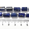 Natural Lapis Lazuli Beads Strands G-N327-06-13-5